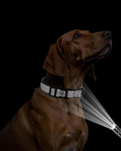 طوق الكلب العاكس مع حامل الجوية ، طوق الكلب القابل للتعديل مع النيوبرين مبطنة ومضادة لخطأ رمز QR (أسود ، متوسطة) in Kuwait