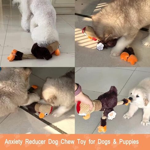 Rooster Plush Toys - Durable Squeaky Dog Toys, Anxiety Reducer for Small to Large Dogs in Kuwait