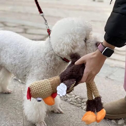 Rooster Plush Toys - Durable Squeaky Dog Toys, Anxiety Reducer for Small to Large Dogs in Kuwait