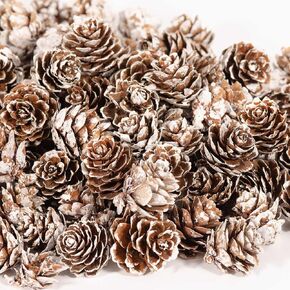 ZYP 250pcs مخروطات الصنوبر المصغرة الطبيعية ، عيد الشكر ، الزخارف الزخارف المصنوعة