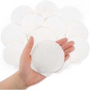 17pcs 3-3.3inch Scallop Shells, Natural Large Scallop, Sea Shells for Crafting, Seashells Beach Decorations for Home, Beaching Wedding Decoration