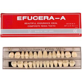 168Teeth Dental Synthetic Resin Tooth Denture Dentistry for Halloween Horror Teeth,Dental Education,Dental Teeth Teaching Model (23A3(6SET))