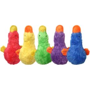 Multipet Duckworth Webster ، 13 بوصة ، ألوان متنوعة (حزمة 1)