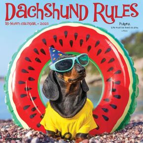 تقويمات Willow Creek Press ، قواعد Dachshund 2025 تقويم الحائط