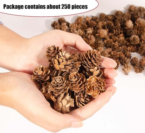 ZYP 250Pcs Natural Mini Pine Cones Bulk, Thanksgiving Rustic Pine Cone Ornaments Vase Fillers Christmas Small Tiny Pinecones for Crafts,Pine Cones Decorations for Christmas Tree in Saudi Arabia