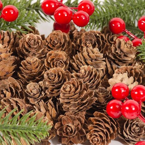 ZYP 250Pcs Natural Mini Pine Cones Bulk, Thanksgiving Rustic Pine Cone Ornaments Vase Fillers Christmas Small Tiny Pinecones for Crafts,Pine Cones Decorations for Christmas Tree in Saudi Arabia