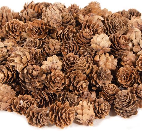 ZYP 250Pcs Natural Mini Pine Cones Bulk, Thanksgiving Rustic Pine Cone Ornaments Vase Fillers Christmas Small Tiny Pinecones for Crafts,Pine Cones Decorations for Christmas Tree in Saudi Arabia