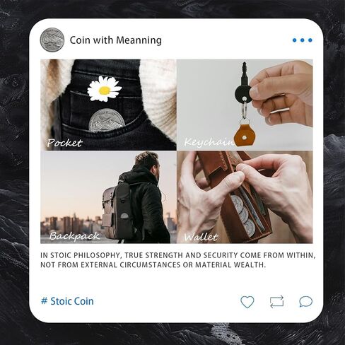 Summum Bonum Challenge Coin - Silver EDC Rose Stoic Coin - Love of Fate Token Reminder for Daily Stoic Practice - Inspirational Thoughtful Stoicism Gifts for Men Women Kids in Kuwait