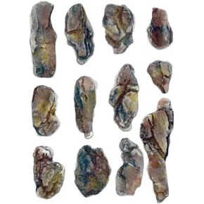 مينز وودلاند C1246 صخور صخور الصخور كريك صخور