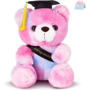 WEWILL Rainbow Pink Graduation Teddy Bear – 10 Inch Stuffed Animal, Class of 2025 Plush Toy, Preschool Graduation Gifts for Girls, Inspirational Graduation Bear 2025 Congrats Gift