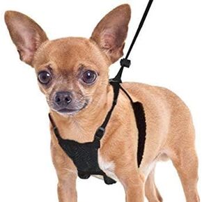 Yuppie Puppy Anti-Pull Mesh Harness ، أحجام متعددة (كبيرة/XLARGE ، أسود)