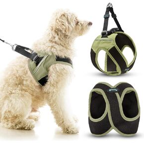 Gooby Escape Free Easy Fit X in Dog Harness - Portland Green ، كبير
