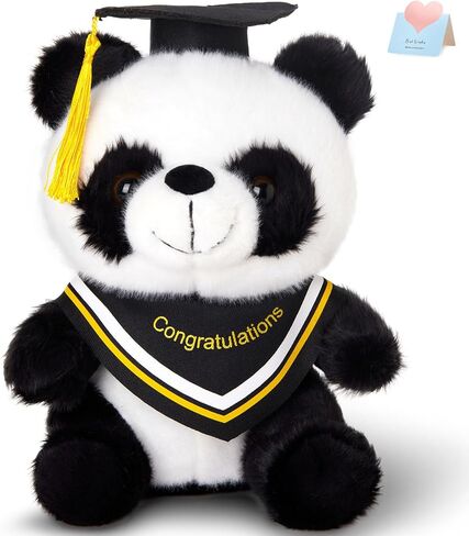 WEWILL Rainbow Pink Graduation Teddy Bear – 10 Inch Stuffed Animal, Class of 2025 Plush Toy, Preschool Graduation Gifts for Girls, Inspirational Graduation Bear 2025 Congrats Gift in Saudi Arabia