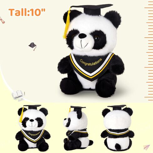 WEWILL Rainbow Pink Graduation Teddy Bear – 10 Inch Stuffed Animal, Class of 2025 Plush Toy, Preschool Graduation Gifts for Girls, Inspirational Graduation Bear 2025 Congrats Gift in Saudi Arabia
