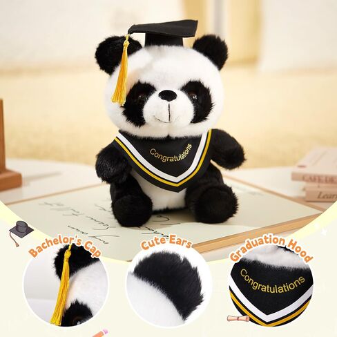 WEWILL Rainbow Pink Graduation Teddy Bear – 10 Inch Stuffed Animal, Class of 2025 Plush Toy, Preschool Graduation Gifts for Girls, Inspirational Graduation Bear 2025 Congrats Gift in Saudi Arabia
