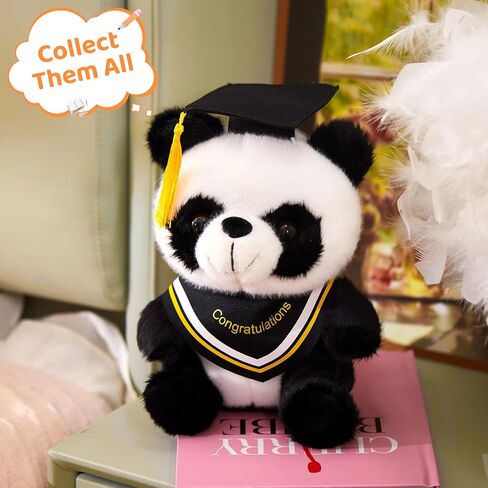 WEWILL Rainbow Pink Graduation Teddy Bear – 10 Inch Stuffed Animal, Class of 2025 Plush Toy, Preschool Graduation Gifts for Girls, Inspirational Graduation Bear 2025 Congrats Gift in Saudi Arabia