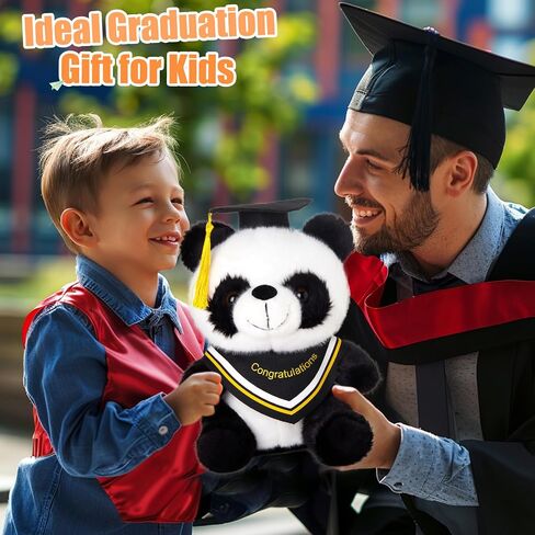 WEWILL Rainbow Pink Graduation Teddy Bear – 10 Inch Stuffed Animal, Class of 2025 Plush Toy, Preschool Graduation Gifts for Girls, Inspirational Graduation Bear 2025 Congrats Gift in Saudi Arabia