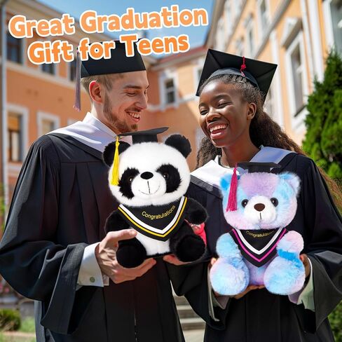 WEWILL Rainbow Pink Graduation Teddy Bear – 10 Inch Stuffed Animal, Class of 2025 Plush Toy, Preschool Graduation Gifts for Girls, Inspirational Graduation Bear 2025 Congrats Gift in Saudi Arabia