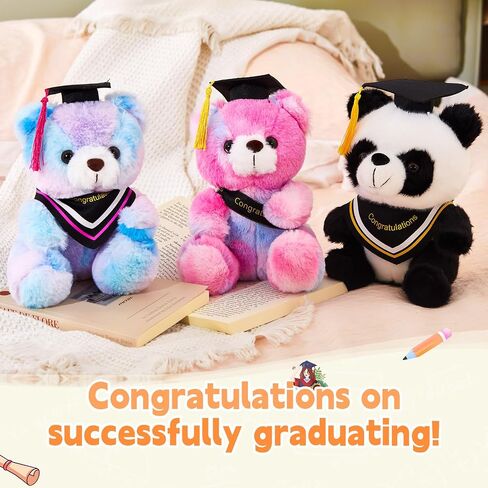 WEWILL Rainbow Pink Graduation Teddy Bear – 10 Inch Stuffed Animal, Class of 2025 Plush Toy, Preschool Graduation Gifts for Girls, Inspirational Graduation Bear 2025 Congrats Gift in Saudi Arabia