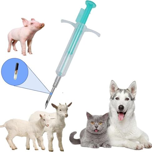 Green Dog Microgrolghip ، iso microchip pets للإدارة والتتبع ، علامة معرف iso الصغيرة مع حقنة لتحديد وإدارة الكلاب والقطط (100 حزمة ، 1.4 × 8 مم) in Kuwait