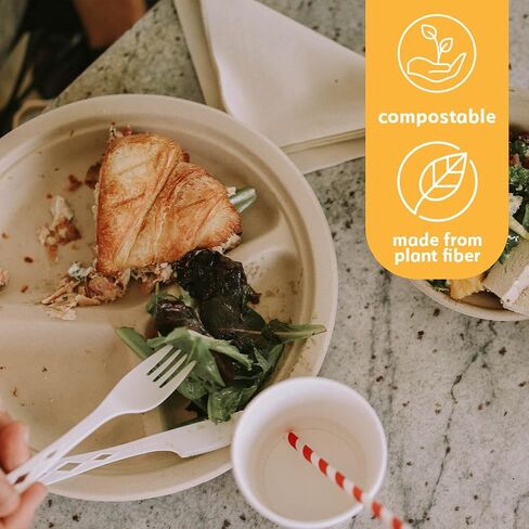 100% Compostable Disposable Paper Plates Bulk [6" 125 Pack], Bamboo Plates, Eco Friendly, Biodegradable, Sturdy Small Dessert Party Plates, Heavy-Duty, Unbleached by Earth's Natural Alternative in Kuwait