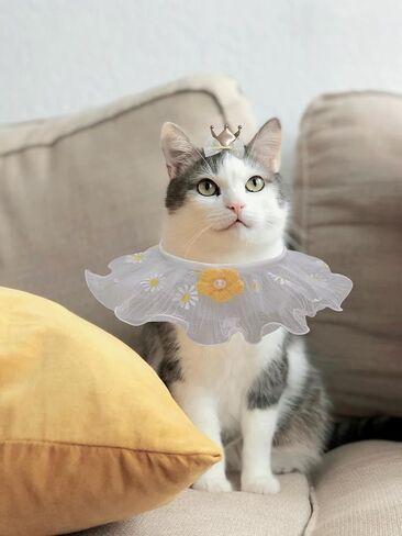 Dog Birthday Party Supplies Dogs and Cats Decoration Outfit Reusable Wedding Princess Costume Holiday Wear Crown Hat and Bib Bandana Scarf Set for Multi Sizes Pets(Pink) in Saudi Arabia