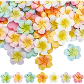 Sunnyclue 70pcs زهرة كابوشونات السائبة هاواي هاواي سحر كبير ملون مختلط بلومريا فرانجيباني الزهور الزهور سحر المجوهر