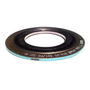 Sur-Seal, Inc. Teadit 9000IR.500321GR1500X6 Spiral Wound Gasket With 321SS Inner Ring, 1/2" Pipe Size x 1500# x (321SS/FG) For Applications with High Temperature Variations and/or Pressure Variations, Turquoise Band with Gray Stripe