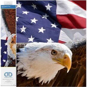 Diamond Dotz Bald Eagle & Flag Diamond Painting Kits للبالغين - مجموعات فن الماس أكياس مريحة مريحة مع Dotz Gems 22x28