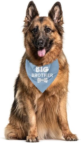 Big Brother Dog Bandana, Dog Pregnancy Announcement, Gift for Dog Lover, Dog Bandana for Small Medium Large Dogs, Dark Blue Dog Bandana, Big Brother Dog Shirt, Dog Scarf (A9) in Kuwait