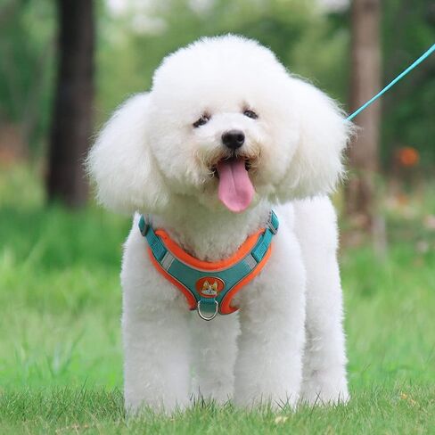 Soft Harness for Dogs,No Pull Dog Harness and Lead Set, Puppy Cat Step in Vest Harness Leash, with Reflective Strips, for Small or Medium and Large Size Dog in Saudi Arabia
