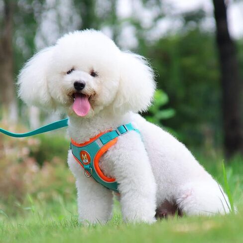 Soft Harness for Dogs,No Pull Dog Harness and Lead Set, Puppy Cat Step in Vest Harness Leash, with Reflective Strips, for Small or Medium and Large Size Dog in Saudi Arabia