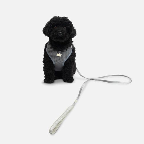 Petite Pistache Leash for Tiny Dogs (O/S, Cactus) in Saudi Arabia