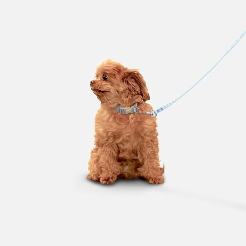 Petite Pistache Leash for Tiny Dogs (O/S, Cactus) in Saudi Arabia