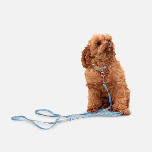 Petite Pistache Leash for Tiny Dogs (O/S, Cactus) in Saudi Arabia