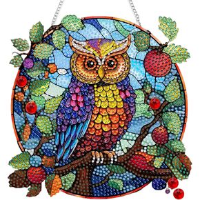 SKRYUIE Hanging Diamond Art Kits for Adults Pendant Owl, Special Shaped Crystal DIY Diamond Painting Kit, Acrylic Board Wreath Pendants Double Sided, Home Decor 7.72 x 7.64 Inch