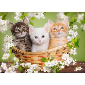 Cat Wooden Jigsaw Puzzle 300 Piece-Kitten Sitting in a Flower Basket Woodden Puzzles Adult Gift Home Decor