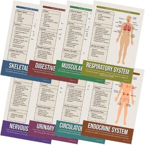 Quarterhouse 8 Pack of Human Body Systems ، ومواد تعليمية للعلوم للطلاب والمعلمين من K-12 ، 12 × 18 بوصة