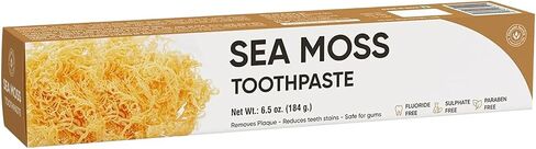 Toothpaste for Sensitive Teeth with Refreshing Oral Care - Natural Ingredients Whitening Toothpaste (6.5 Fl Oz (Pack of 1), Activated Charcoal) in Saudi Arabia