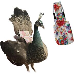 Peacock Supplies, pet Diapers, Size of The Animal, The Peacock Diapers, Poultry, Chicken, Duck Waterproof Adjustable Washable and Reusable Cloth Diapers.
