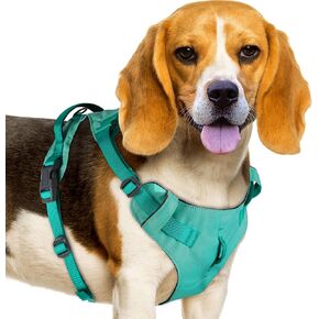 AdventureMore Lightweight Dog Harness with QR Code Dog Tag Breathable Escape Proof Vest Harness for Puppy Small Medium Dogs and Cats Easy to Put On and Control for Training Walking XS Teal