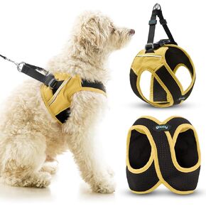 Gooby Escape Free Easy Fit X in Dog Harness - Miami Yellow ، Small