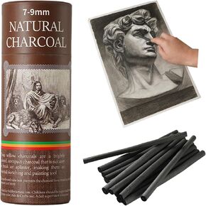 25 PCS Willow Dickoal Sticks ، مثالية للفنانين ، والمبتدئين ، والطلاب ، والمثالية للرسم ، والرسم ، والتظليل ، والفنون الجميلة ، بطول 5.7 بوصة ، 2-4،4-5،5-7،7-9 (2-4)