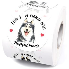 ملصقات بريد Husky Happy لطيف ، مضحك أجش OMG أنا أخيرًا هنا ، 500 قطعة