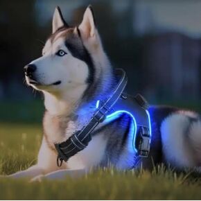 Dog Harness Led Light Pet Adjustable Dog Harness Safety Harness Small Medium Large Dogs Rechargeable Led Lights Night Running No Pull Harness Tactical Service Water Resistant (Blue, Small)