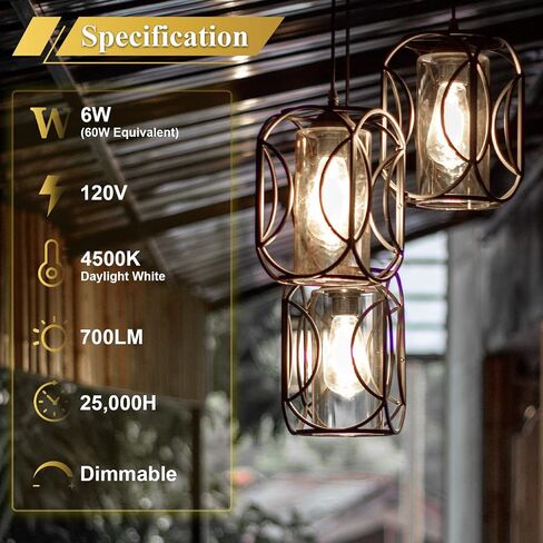DiCUNO ST64 Edison LED Bulb 60W Equivalent, 6W, Warm White 2700K, Dimmable Vintage LED Light Bulbs, 700LM E26 Medium Base with Clear Glass for Dining Room, Kitchen Lighting,Pack of 6 in Saudi Arabia