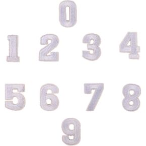 Ximkee(10 Pack) 1" Colorful Numbers Embroidered Appliques Sew or Iron on Patches (White)
