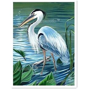 Apomelo 12 × 16 بوصة Art Art Art Kit Heron Diamond Art للبالغين DIY Diamond Art Painting Kit للديكور ، يا رهنب الأزرق العظيم من البحيرة