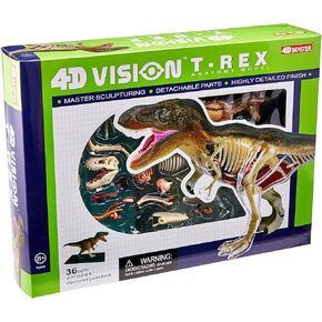 نموذج تشريح Famemaster 4D T-Rex