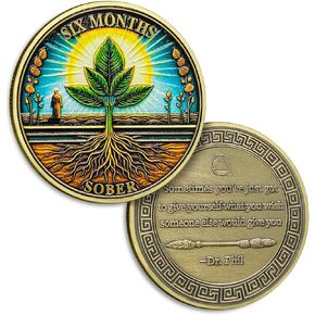 8 أشهر عملة الرصانة ثماني أشهر عملات رصينة أى AA و Medallion Sun Chip Echip Entyeld Recover